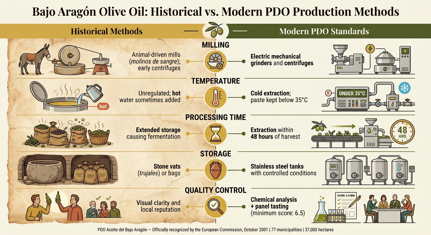 Bajo Aragón Olive Oil: Historical vs. Modern PDO Production Methods