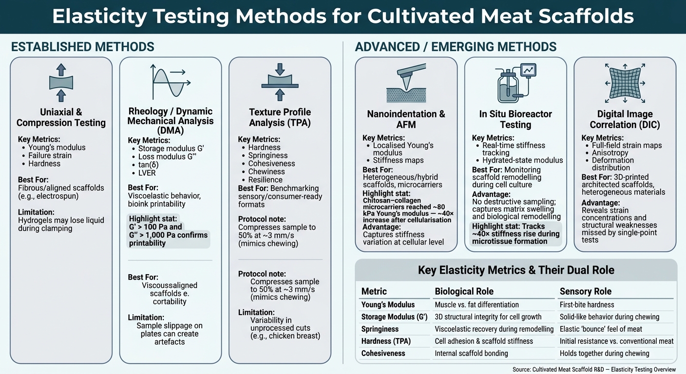 Elasticity Testing Methods for Cultivated Meat Scaffolds: A Comparison Guide
