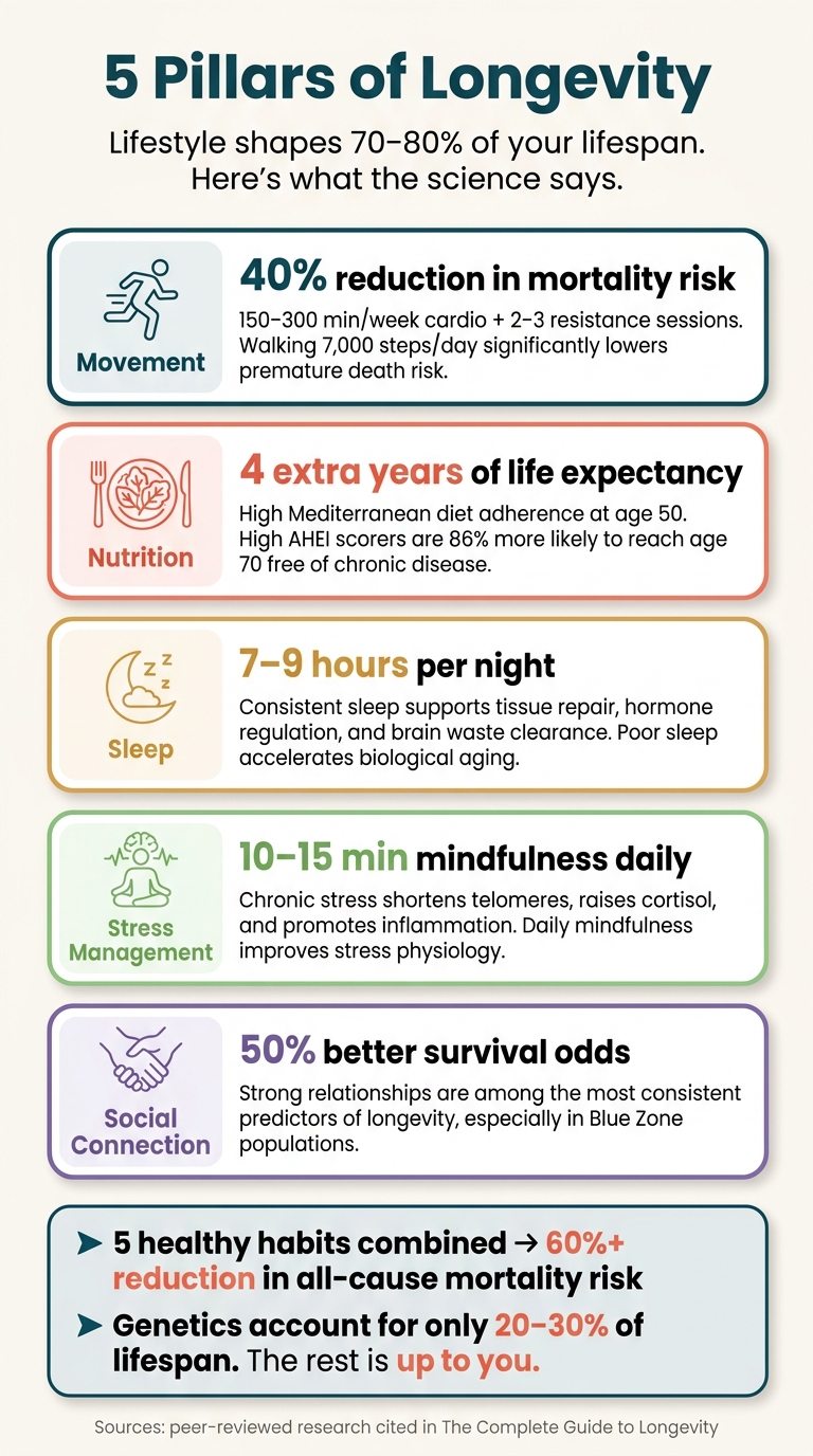 5 Pillars of Longevity: Key Stats for a Longer, Healthier Life