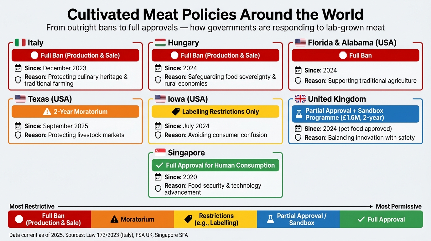 Cultivated Meat Policies by Country: Bans, Approvals & Restrictions