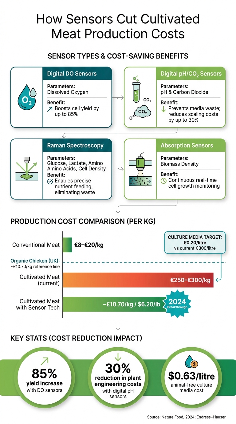 Cultivated Meat vs Conventional Meat: Cost Breakdown & Sensor Savings