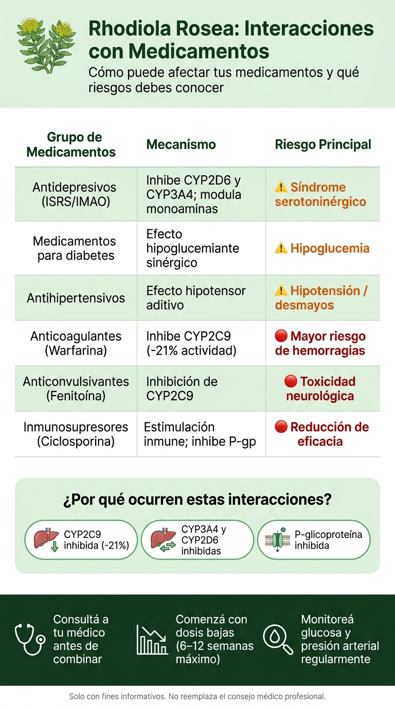 Rhodiola Rosea: Interacciones con Medicamentos y Riesgos