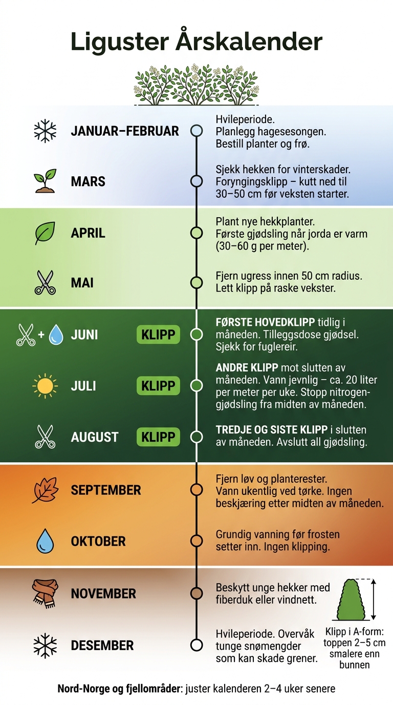 Liguster Årskalender: Månedlig Stell og Hagearbeid