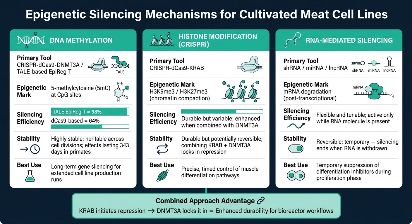 Epigenetic Silencing Tools for Cultivated Meat: Mechanisms, Efficiency & Stability