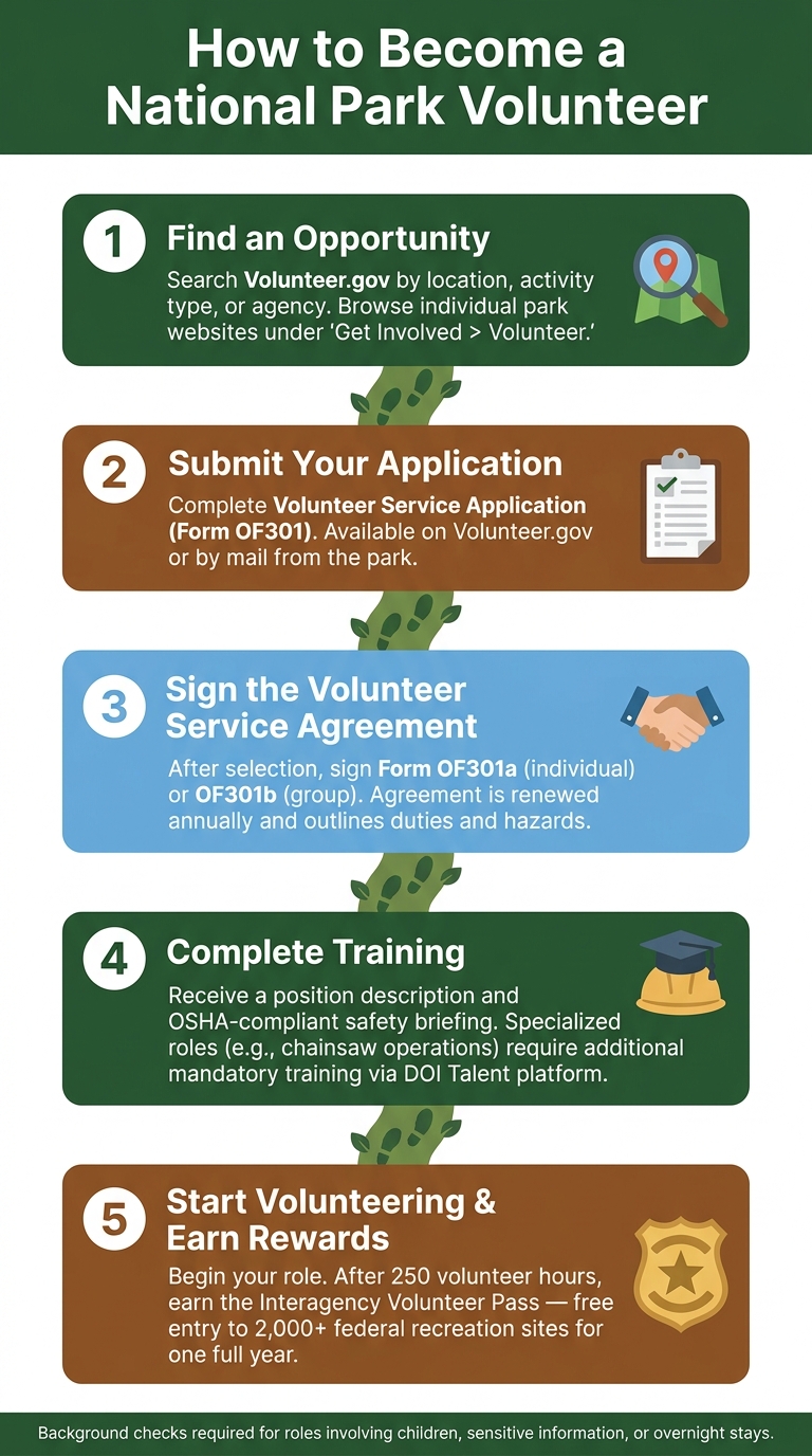 How to Become a National Park Volunteer: Step-by-Step Guide