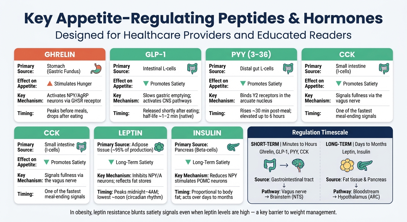 Key Appetite-Regulating Peptides: Sources, Effects & Mechanisms