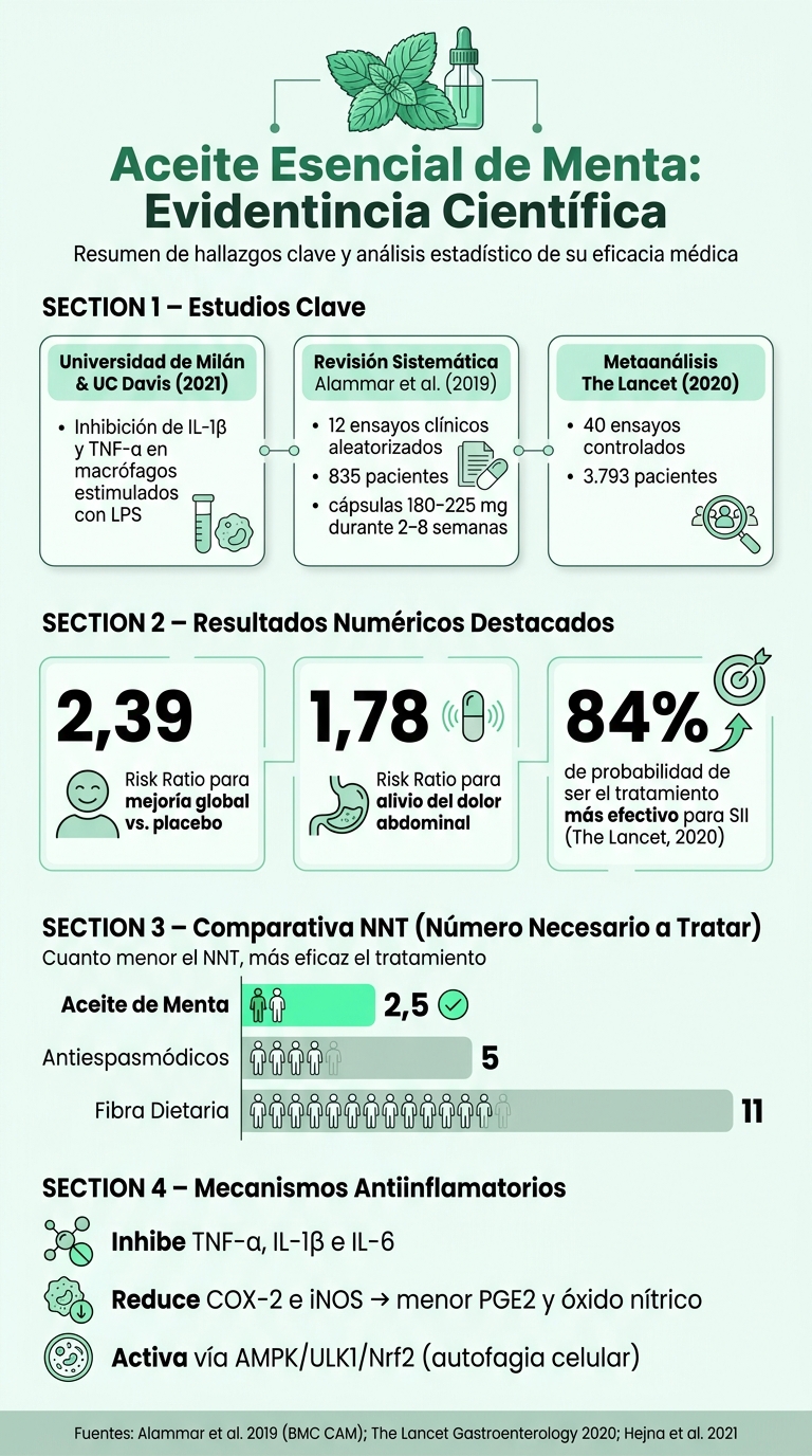 Aceite Esencial de Menta: Evidencia Científica y Eficacia Antiinflamatoria
