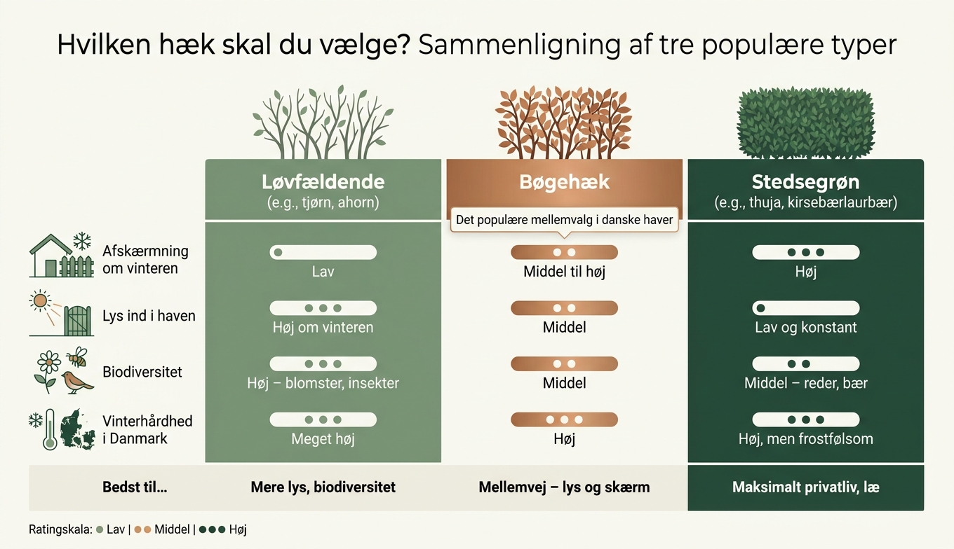 Løvfældende vs. Bøgehæk vs. Stedsegrøn: Sammenligning af hæktyper