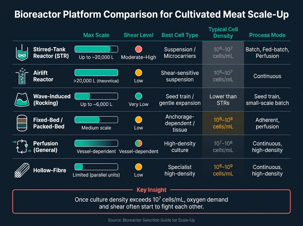 Bioreactor Platform Comparison for Cultivated Meat Scale-Up