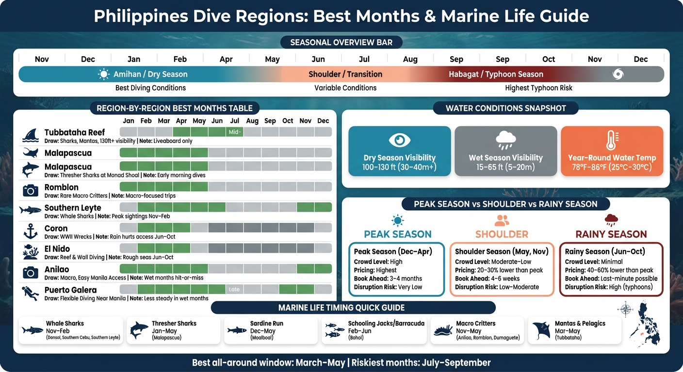 Philippines Dive Regions: Best Months & Marine Life Guide