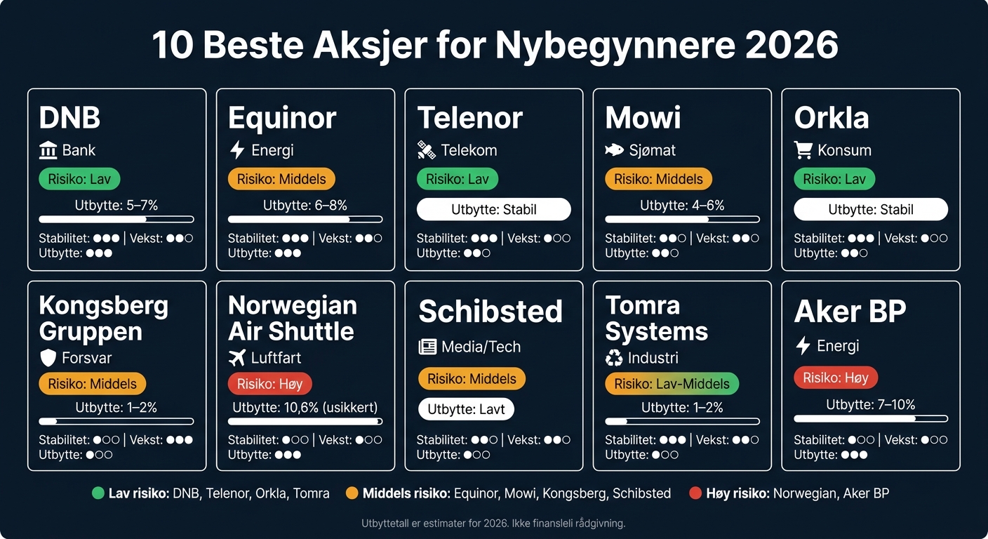 10 Beste Aksjer for Nybegynnere 2026: Risiko, Utbytte og Vekst