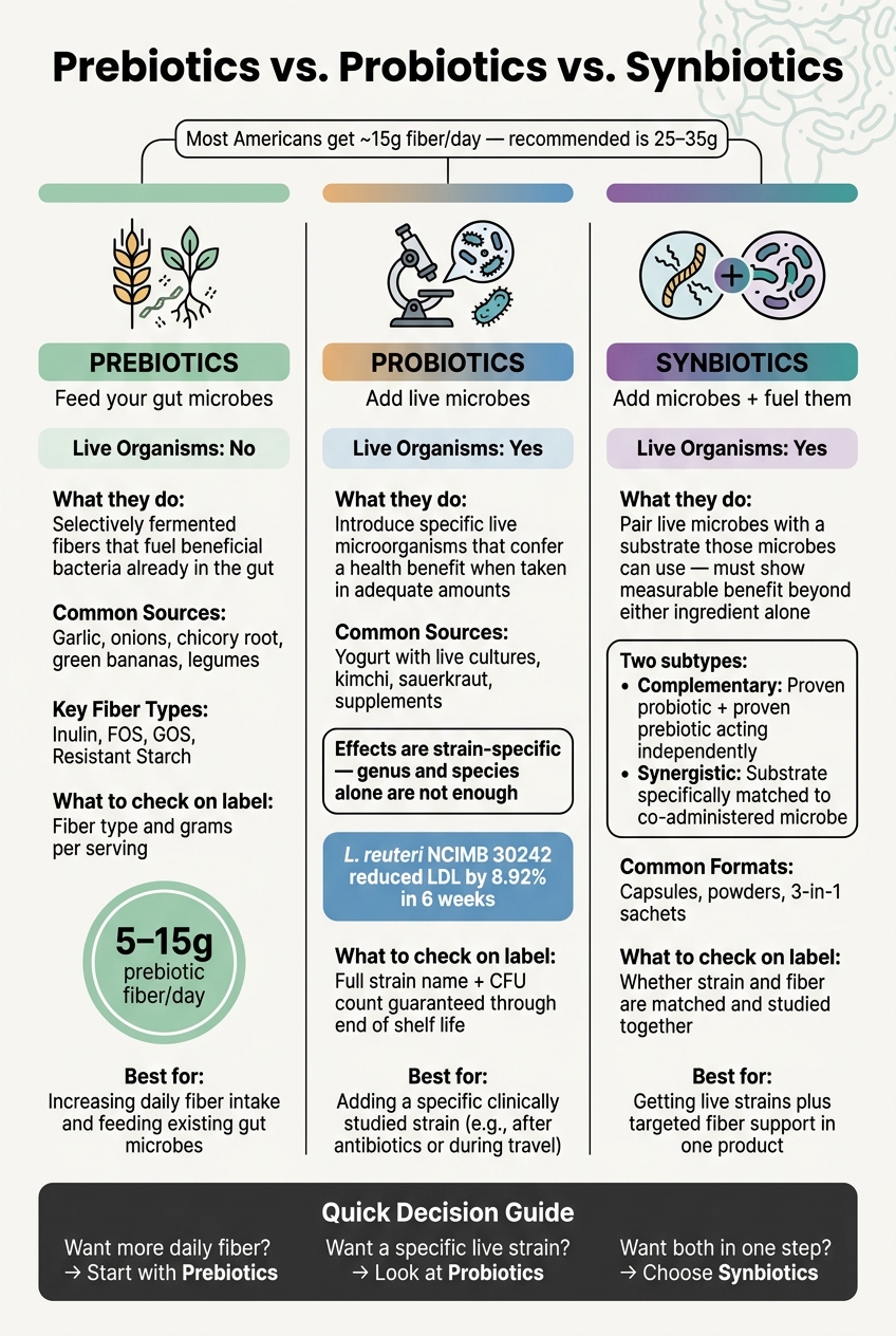 Prebiotics vs Probiotics vs Synbiotics: Key Differences at a Glance