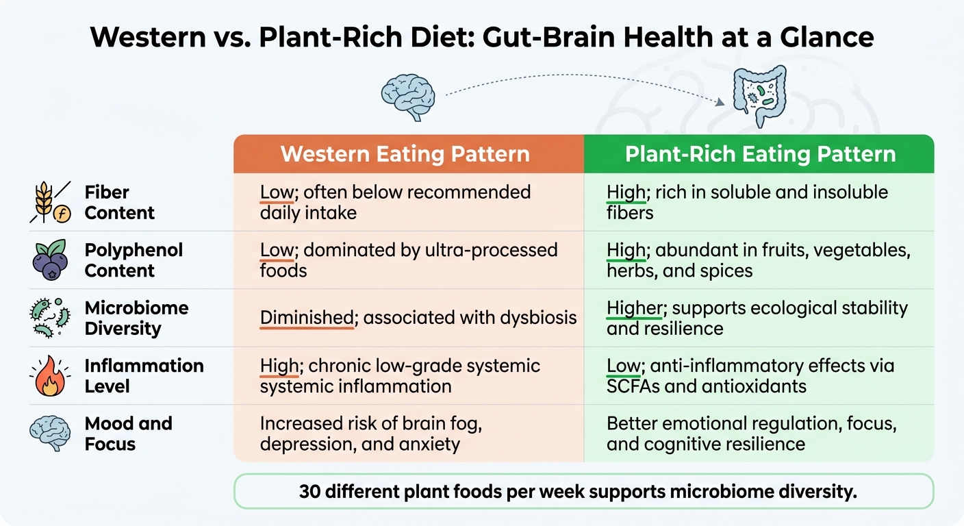 Western vs. Plant-Rich Diet: Gut-Brain Health at a Glance