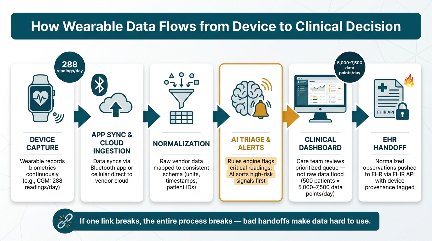 How Wearable Data Flows from Device to Clinical Decision