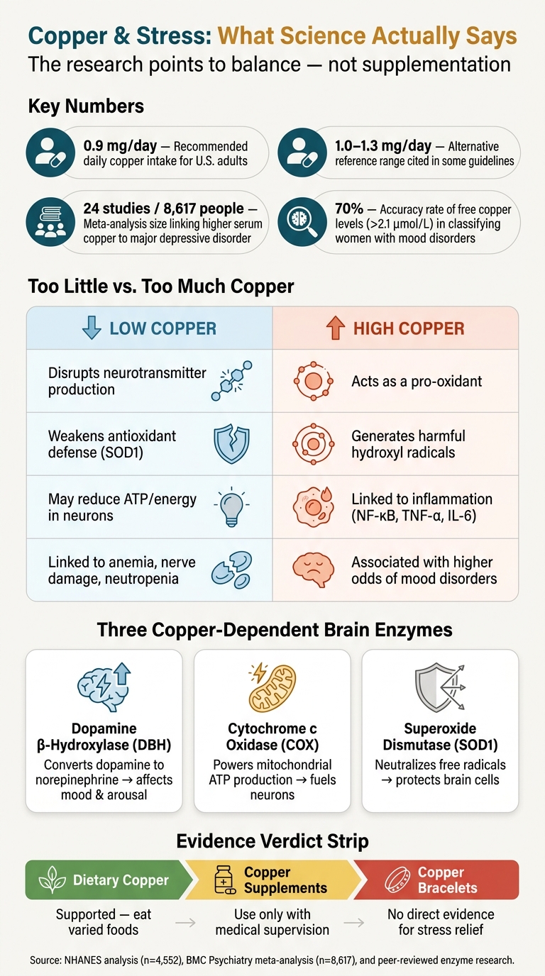 Copper & Stress: What Science Actually Says
