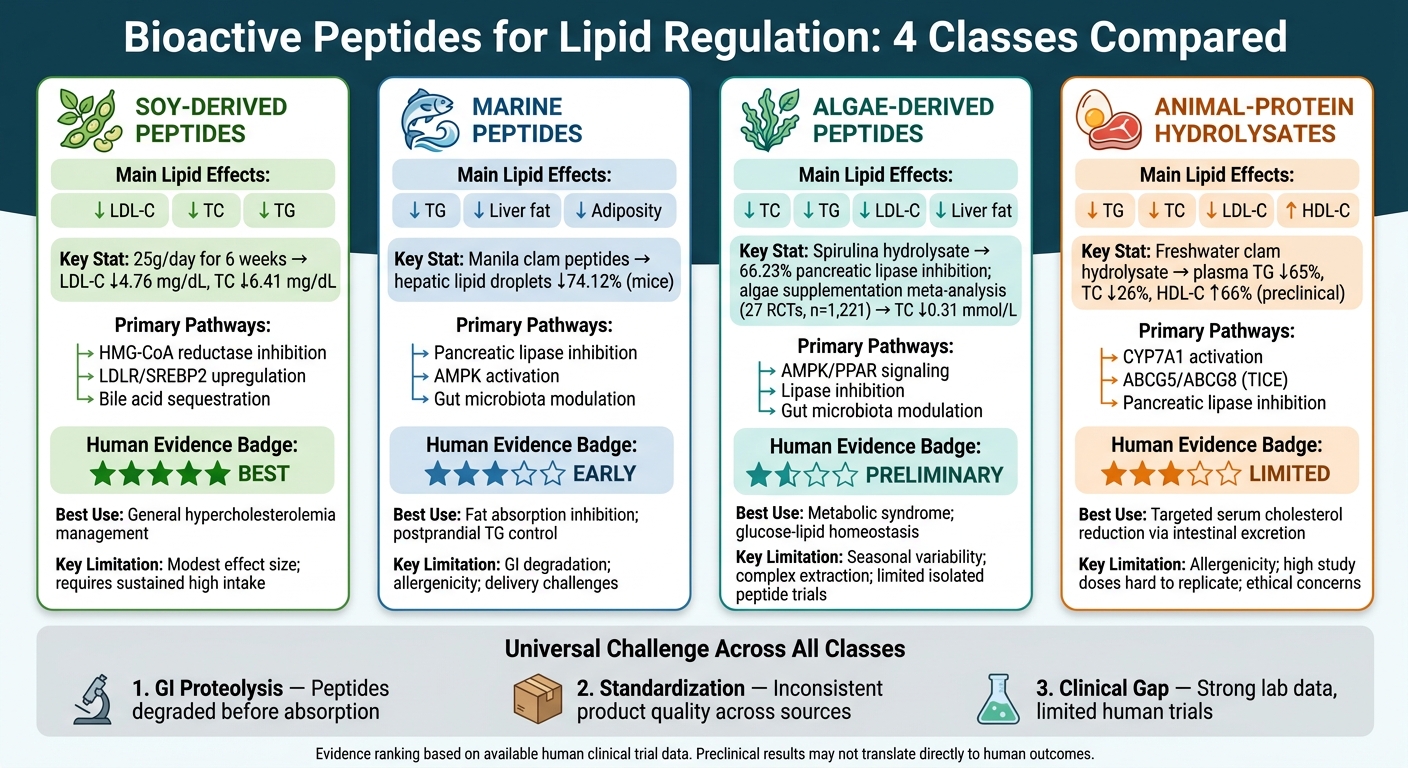 Bioactive Peptides for Lipid Regulation: 4 Classes Compared