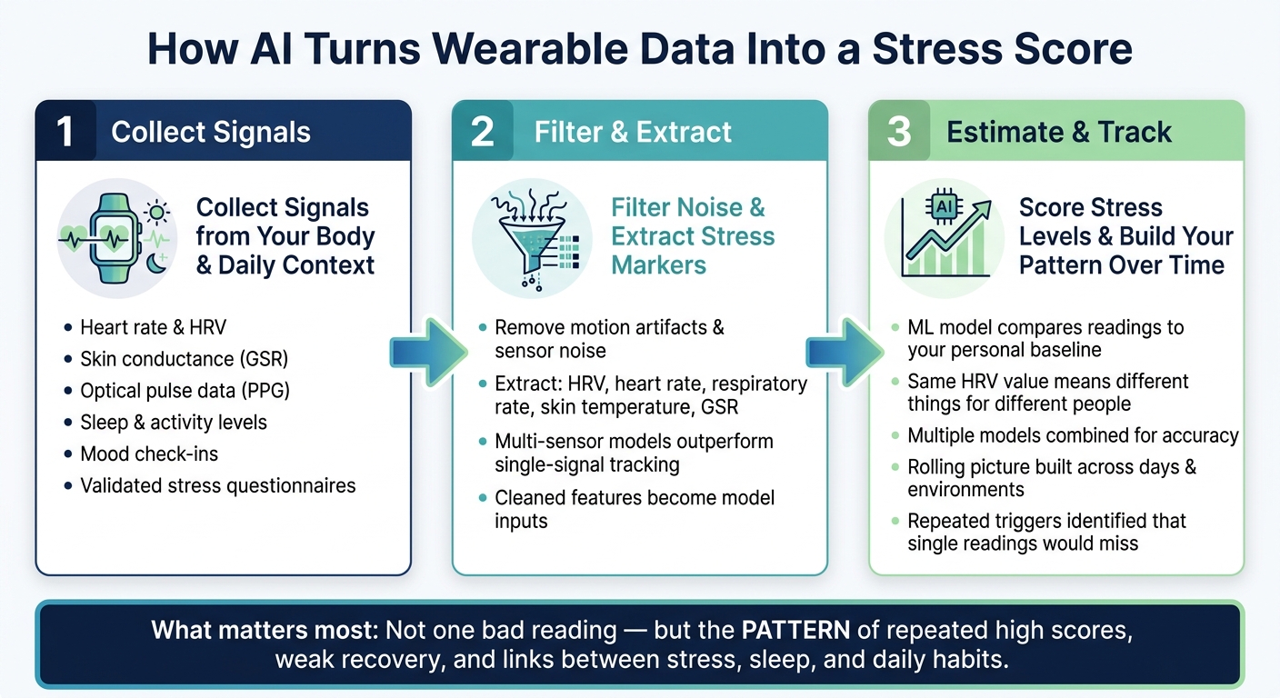 How AI Turns Wearable Data Into a Stress Score: 3-Step Process