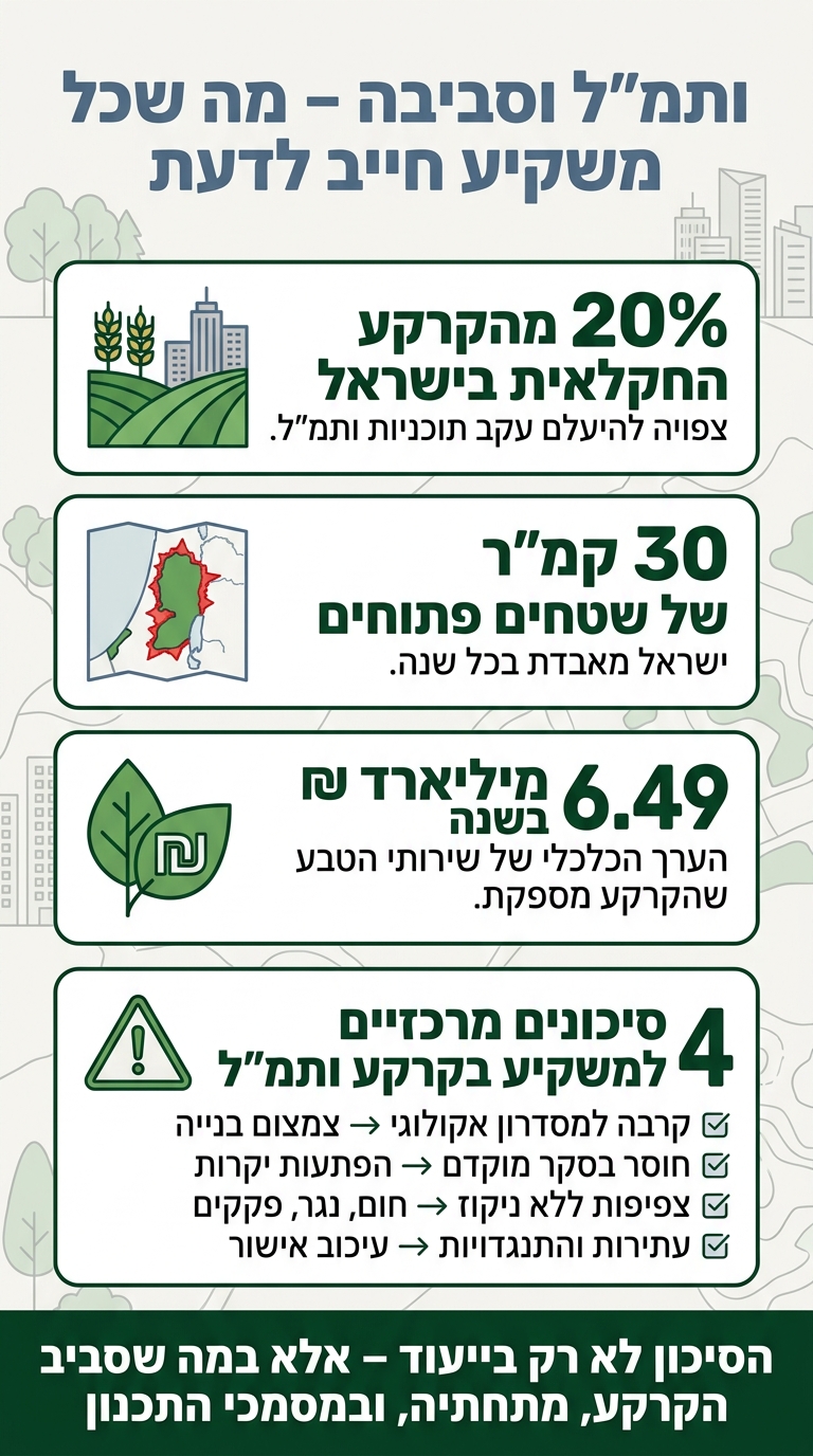השפעת ותמ