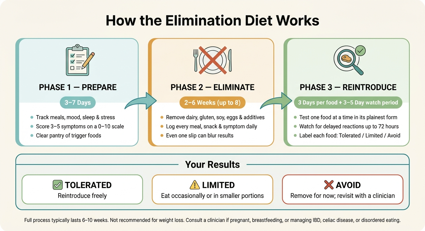How the Elimination Diet Works: A Step-by-Step Timeline