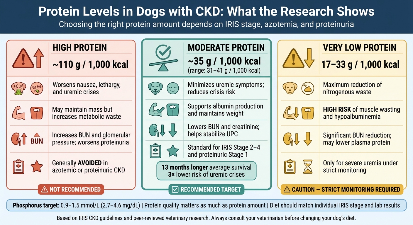 Protein Levels in Dogs with Kidney Disease: High vs. Moderate vs. Very Low
