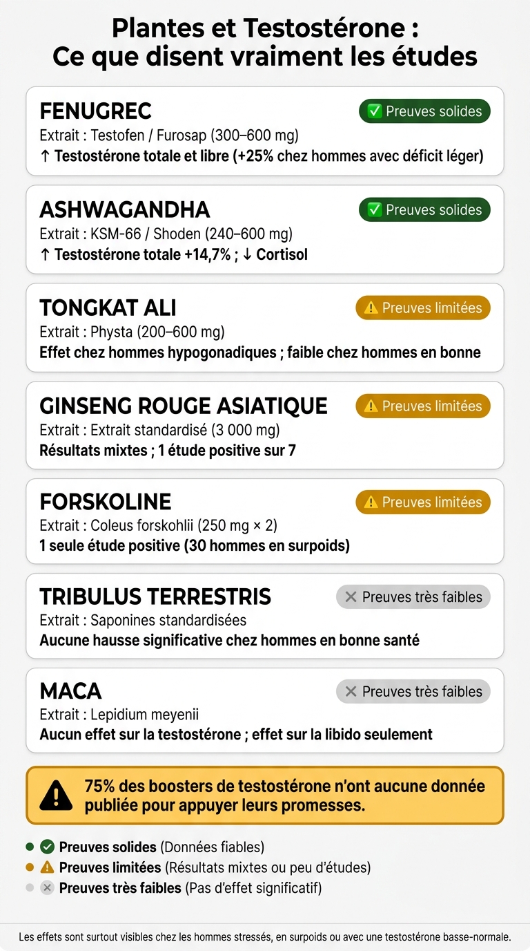 Plantes et Testostérone : Comparatif des Preuves Scientifiques