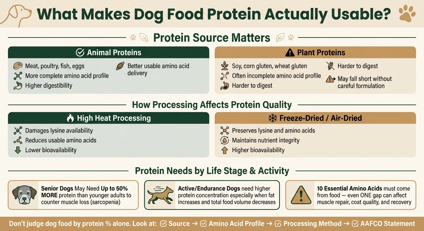 Animal vs. Plant Protein Bioavailability in Dog Food