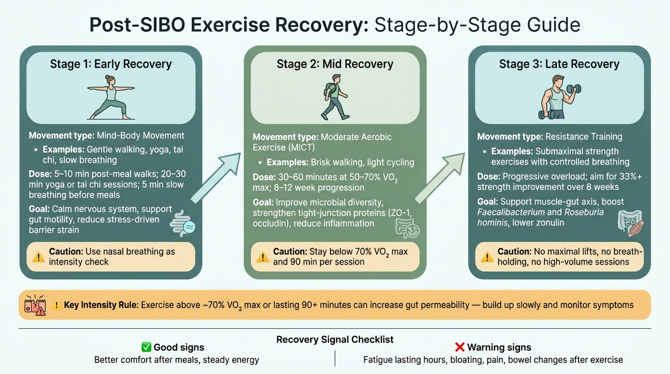 Post-SIBO Exercise Recovery: Stage-by-Stage Guide
