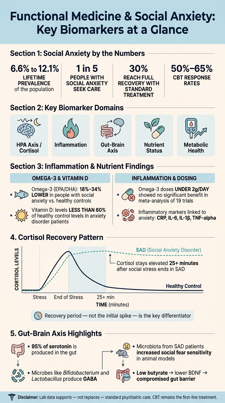Functional Medicine & Social Anxiety: Key Biomarkers at a Glance