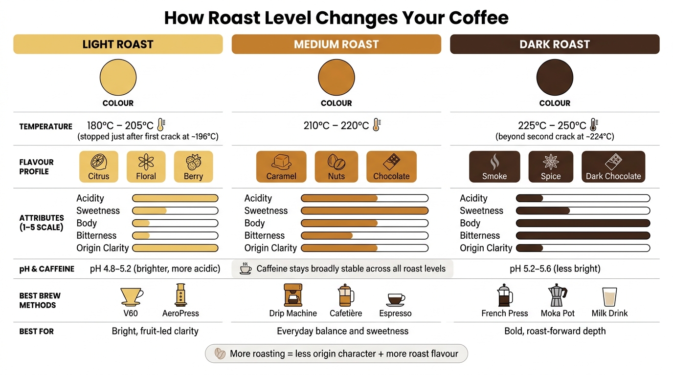 Light vs Medium vs Dark Roast: Flavour, Acidity & Body Compared