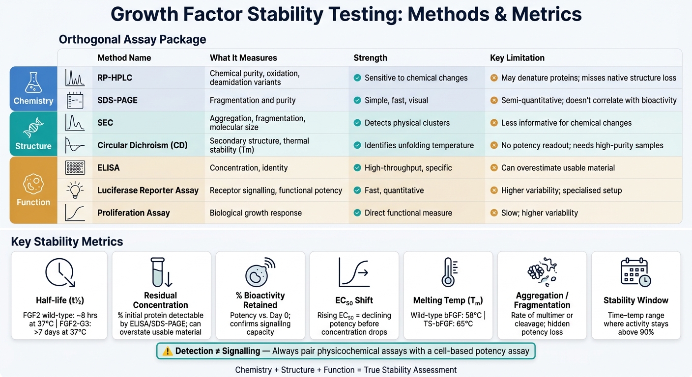 Growth Factor Stability: Assay Methods & Key Metrics at a Glance
