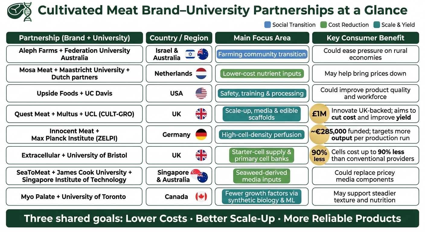 Cultivated Meat University Partnerships: Goals, Funding & Impact