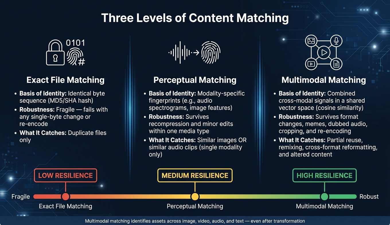 Multimodal vs Perceptual vs Exact File Matching: A Visual Comparison
