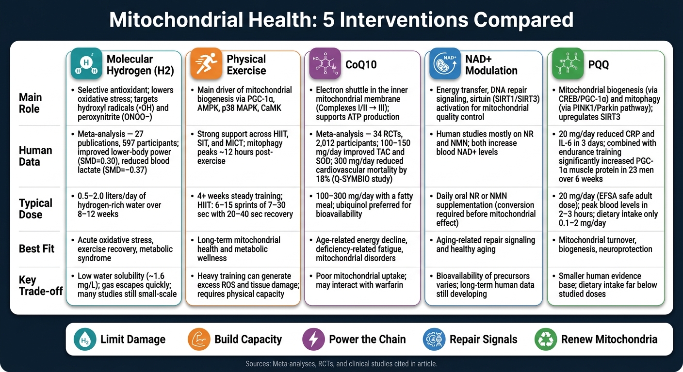 Molecular Hydrogen vs. Exercise vs. CoQ10 vs. NAD+ vs. PQQ: Mitochondrial Health Comparison