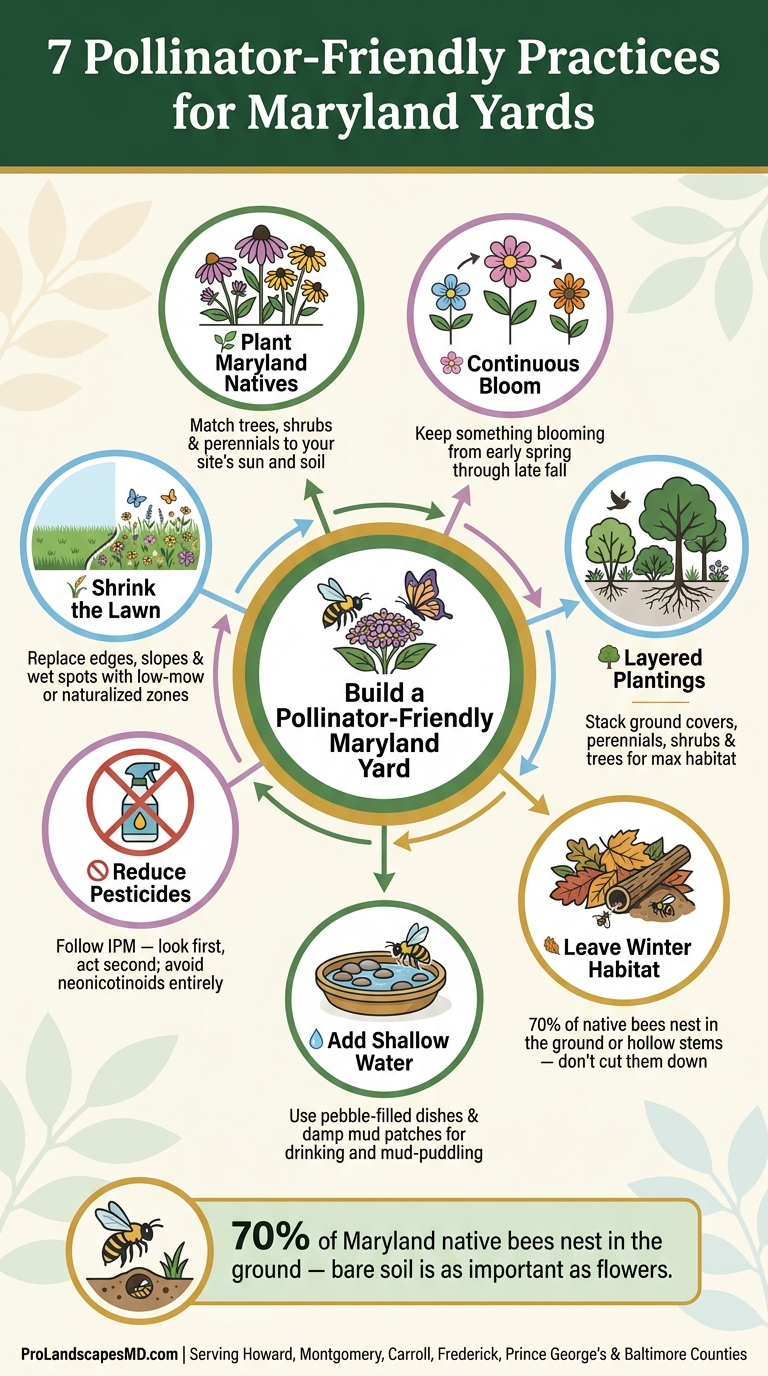7 Pollinator-Friendly Practices for Maryland Yards