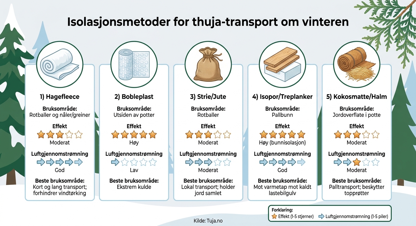 Isolasjonsmetoder for thuja-transport om vinteren