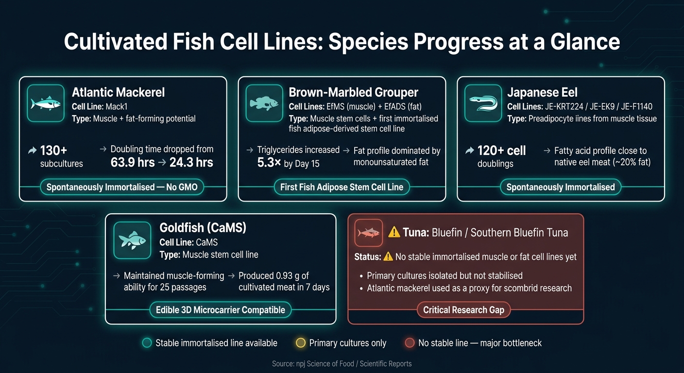 Cultivated Fish Cell Lines: Species Progress at a Glance