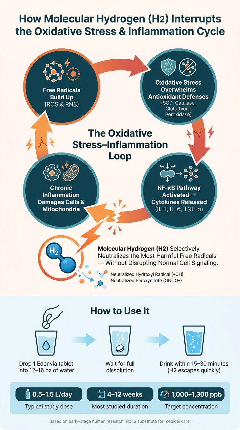 How Hydrogen Water Works: The Oxidative Stress & Inflammation Cycle