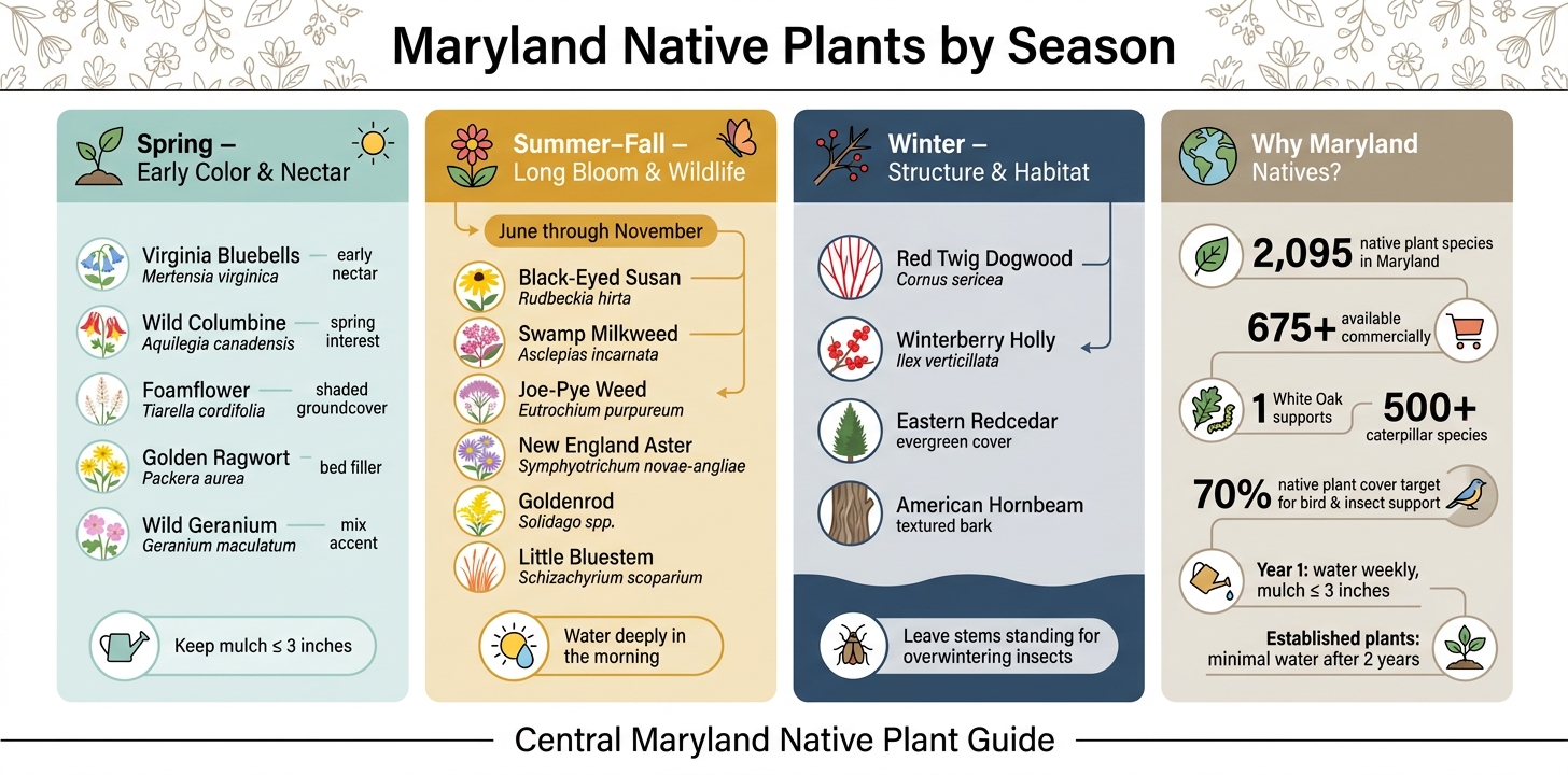 Maryland Native Plants by Season: What to Plant & When