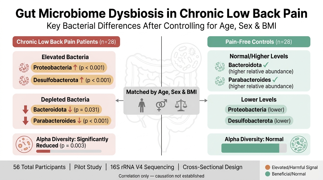 Gut Microbiome Changes in Chronic Low Back Pain vs. Healthy Controls