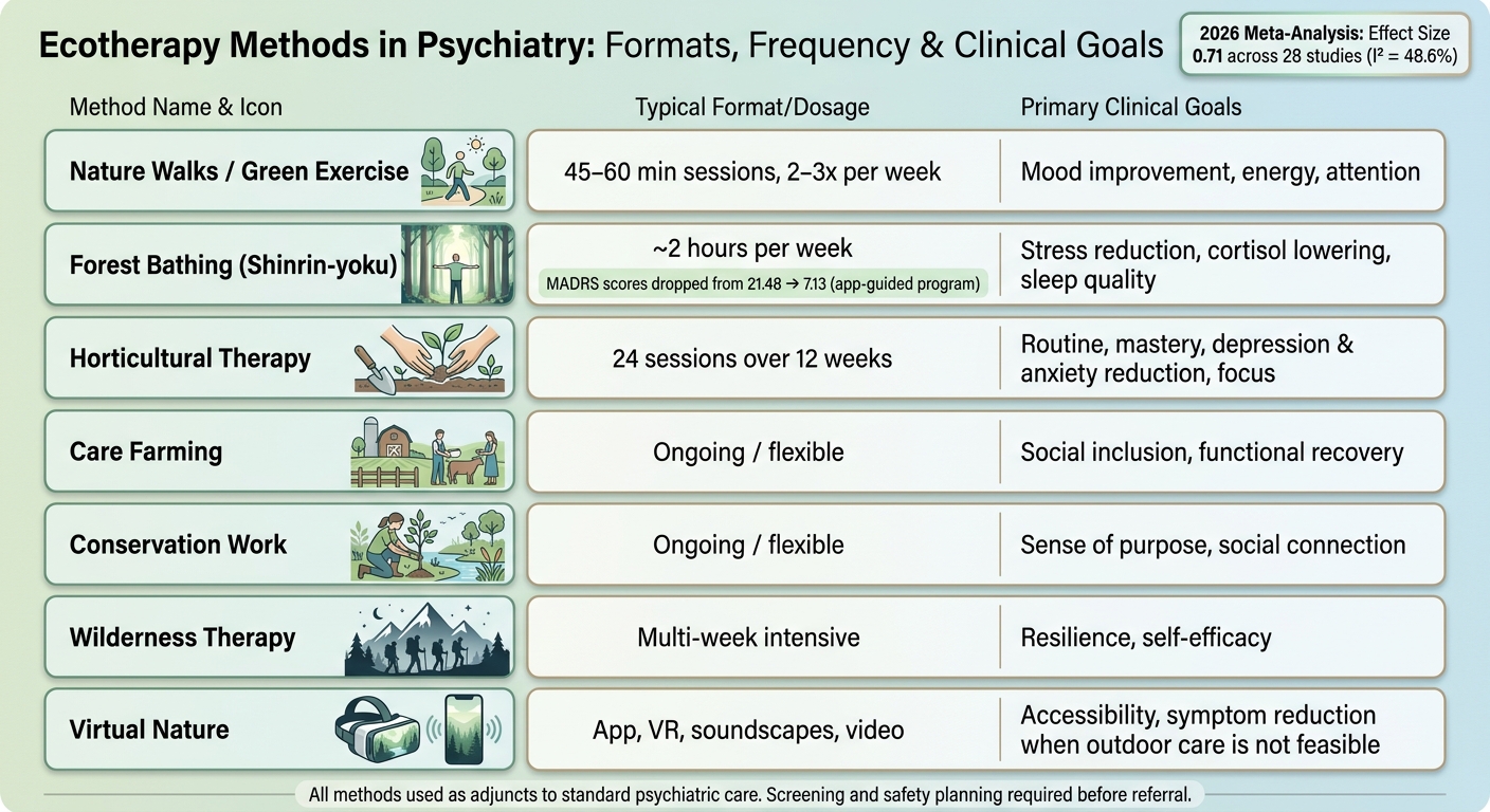 Ecotherapy Methods in Psychiatry: Formats, Frequency & Clinical Goals