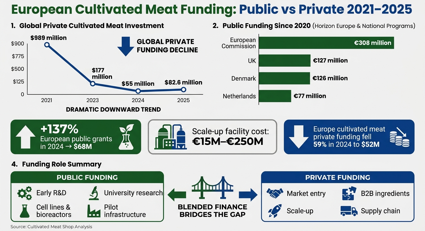 European Cultivated Meat Funding: Public vs Private 2021–2025