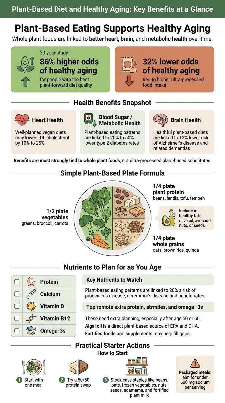 Plant-Based Diet and Healthy Aging: Key Benefits at a Glance