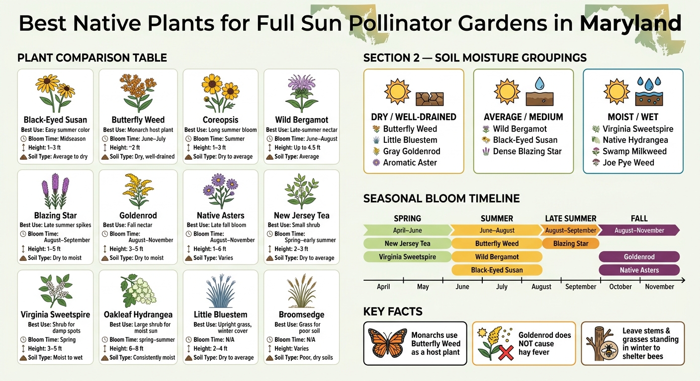 Native Plants for Full Sun Pollinator Gardens in Maryland