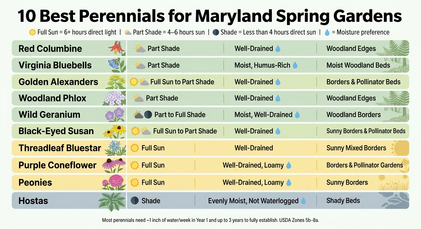 10 Best Perennials for Maryland Spring Gardens: Sun, Shade & Moisture Guide