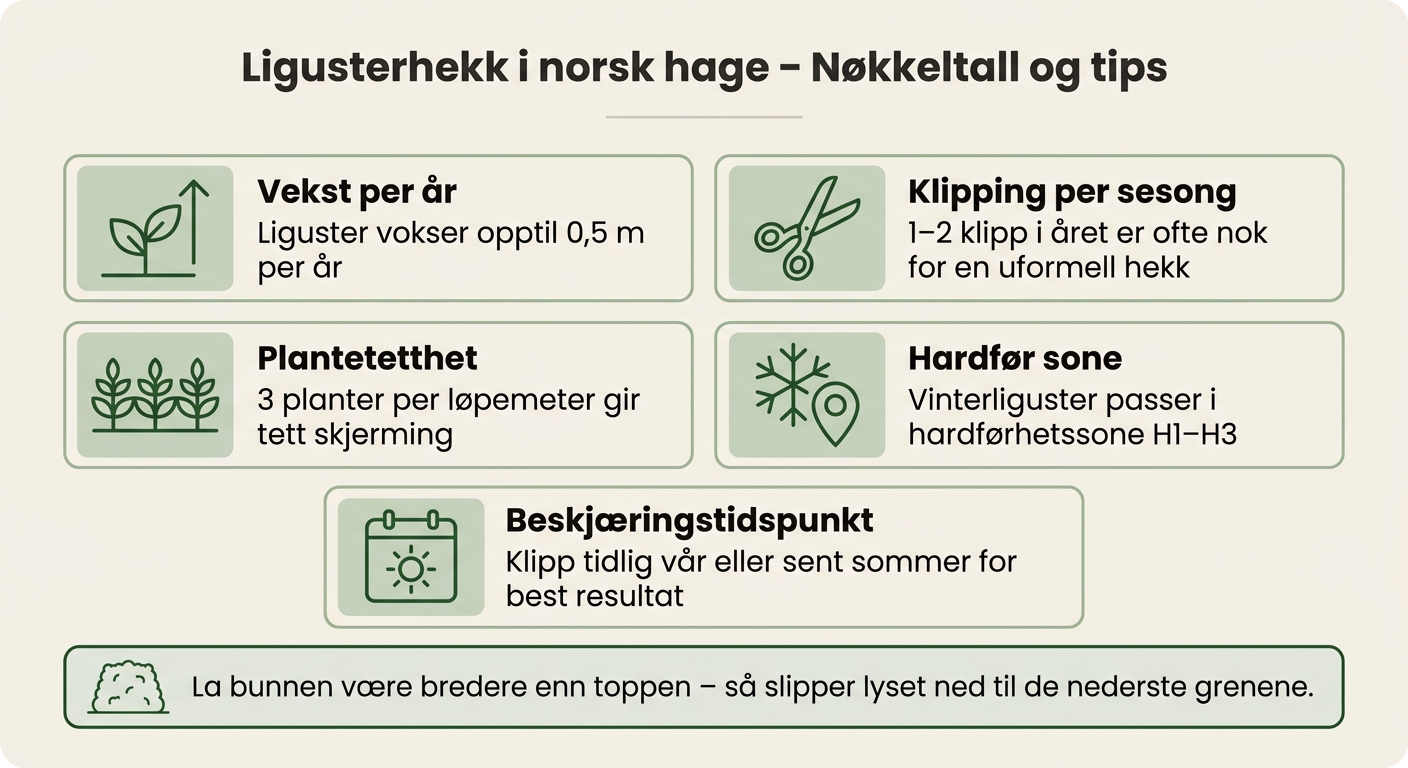 Ligusterhekk i norsk hage: Nøkkeltall og tips
