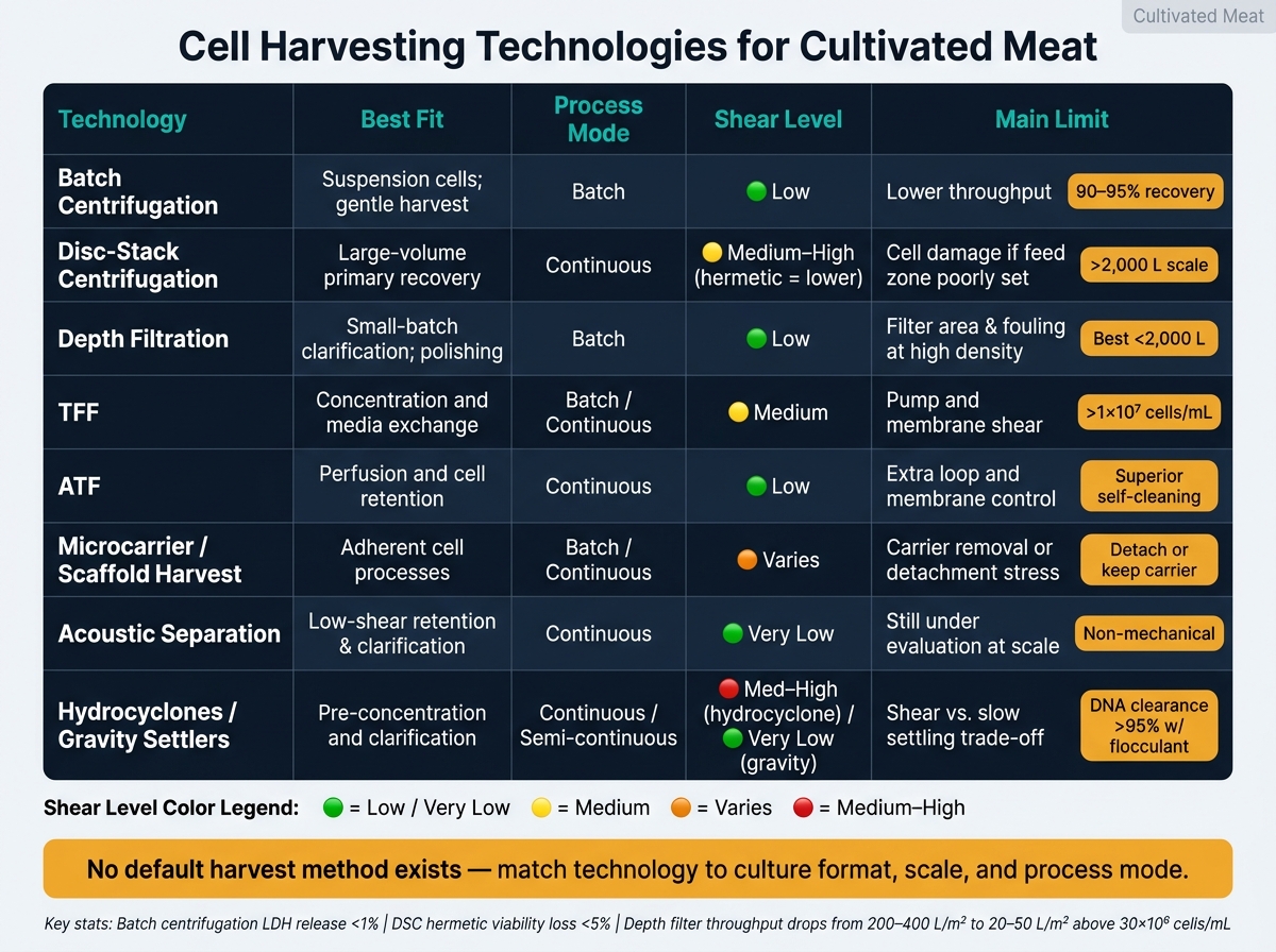 Cell Harvesting Technologies for Cultivated Meat: Side-by-Side Comparison
