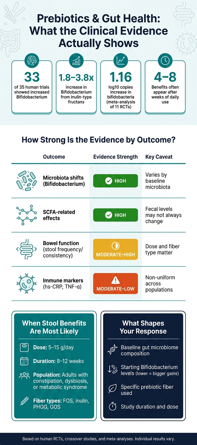 Prebiotics & Gut Health: Evidence Strength by Outcome