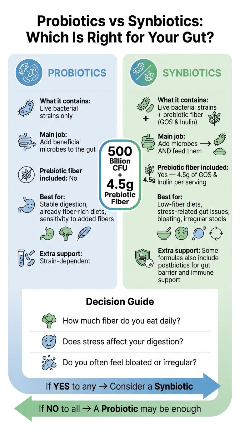 Probiotics vs Synbiotics: Which Is Right for Your Gut?