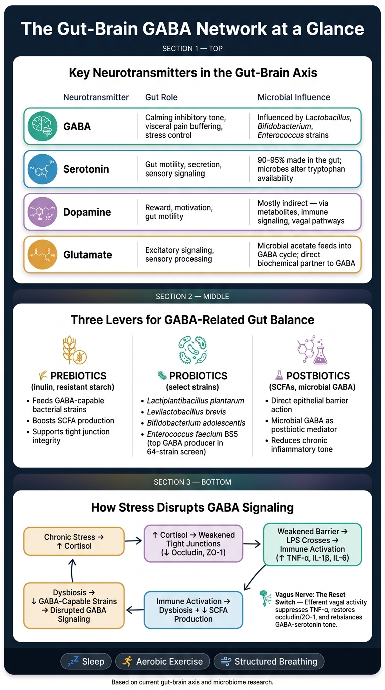 Gut-Brain GABA Network: Neurotransmitters, Microbes & Pathways Explained