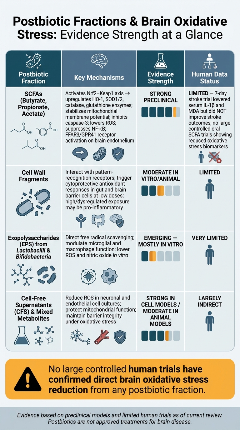 Postbiotic Fractions vs. Brain Oxidative Stress: Evidence Strength Compared